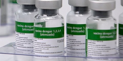 Instituto Butantan pede registo de vacina contra a dengue a órgão regulador do Brasil