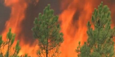 Vítimas do Incêndio de Pedrógão Grande alertam para falhas no acesso à saúde