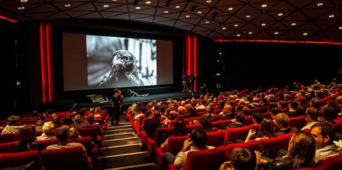 Espectadores nos cinemas diminuem em 3,8% em 2024 embora receita siga estável