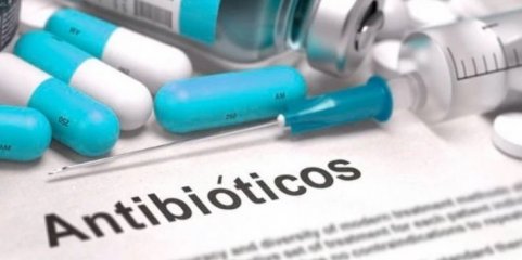 Investigadores estudam alternativa a antibióticos para combater bactérias multirresistentes