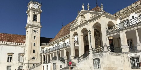 Investigadores de Coimbra criam grupo para estudar e sensibilizar para a encefalite