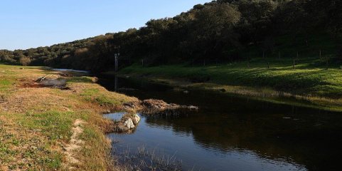 Tribunal anula Declaração de Impacte Ambiental da Barragem do Pisão no Alentejo