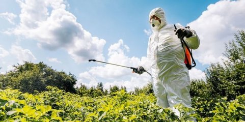 Petições apelam à reversão do uso de glifosato em espaços públicos nos Açores