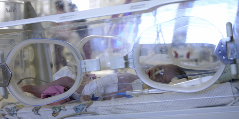 Japão doa 55,4 mil euros para melhoria de serviços neonatais em Moçambique