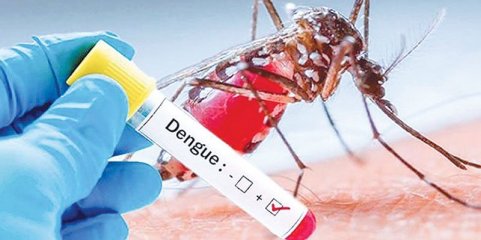 Cruz Vermelha de Cabo Verde prolonga campanha de combate à dengue