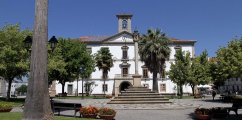 Quercus pede à autarquia estudo epidemiológico na Central de Biomassa do Fundão