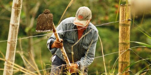 Agricultores do Alentejo dizem que apoio para língua azul é bem-vindo mas escasso