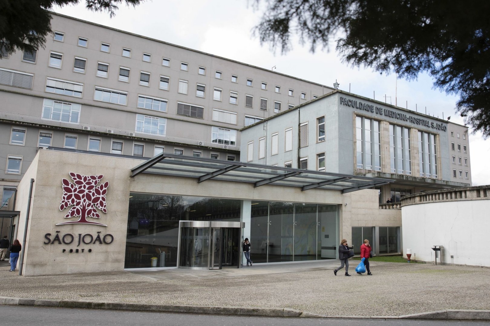 Vírus Resultado negativo no caso sob observação em hospital do Porto