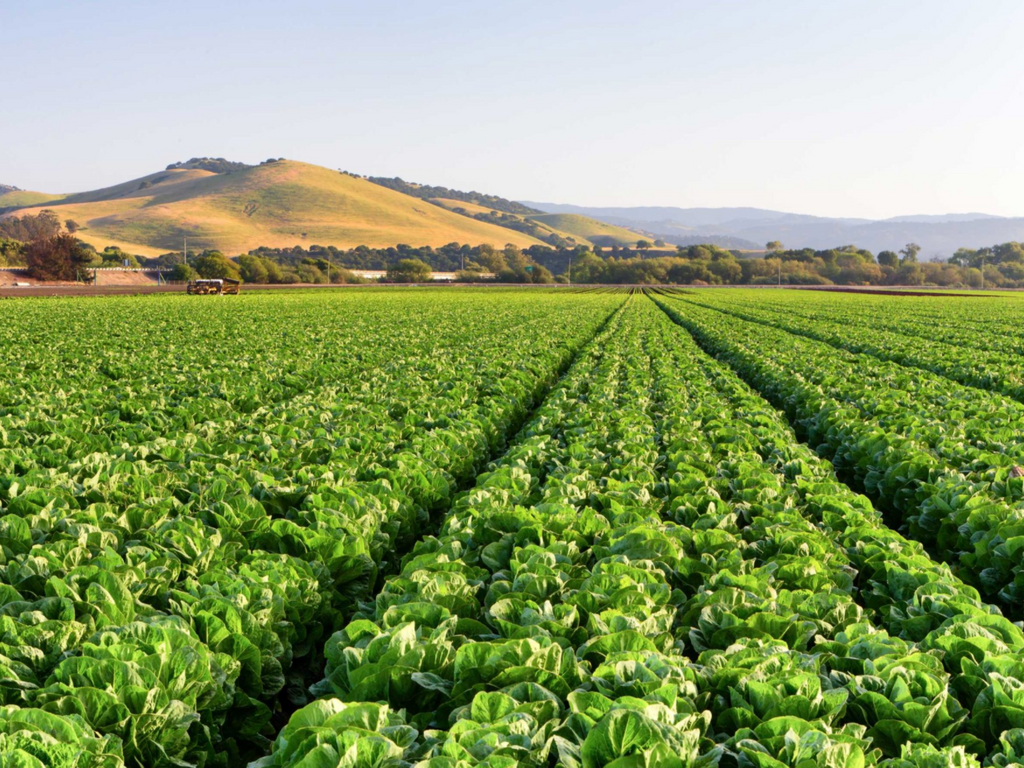 L’Agence européenne pour l’environnement appelle à une réduction de l’utilisation des pesticides